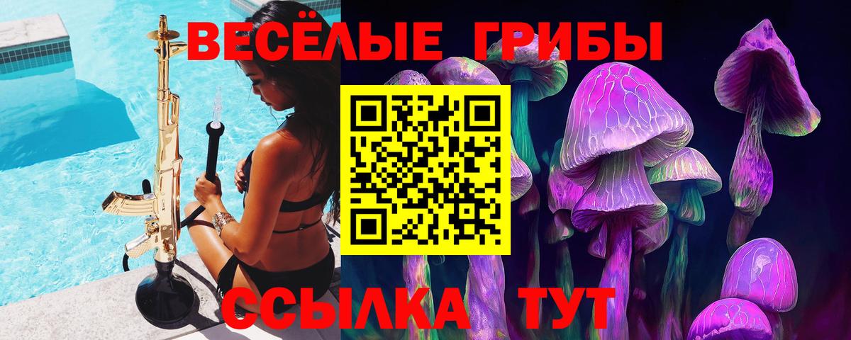 Галлюциногенные грибы Psilocybe  Вход с VPN  Мытищи  Псилоцибиновые грибы MAGIC MUSHROOMS 