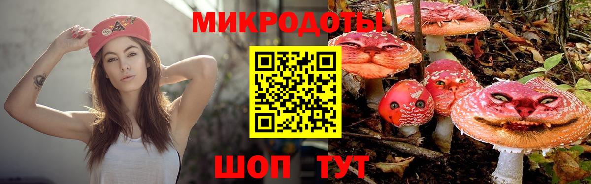 Псилоцибиновые грибы Psilocybine cubensis Мытищи